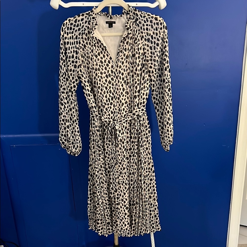 Ann Taylor Black and Cream Long Sleeve Dress